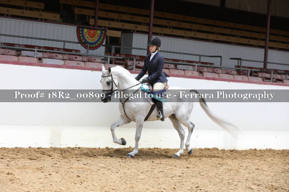 Proof 18R2_00899