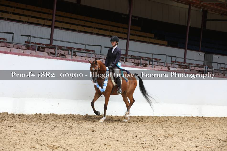 Proof 18R2_00900