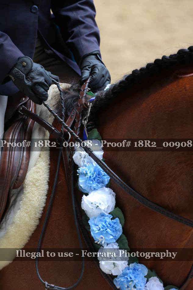 Proof 18R2_00908