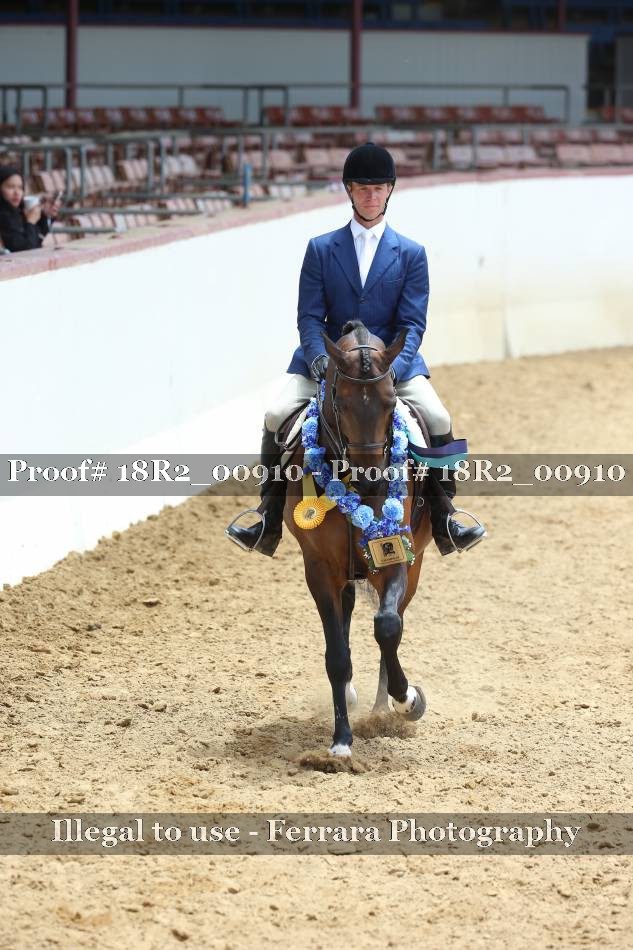 Proof 18R2_00910