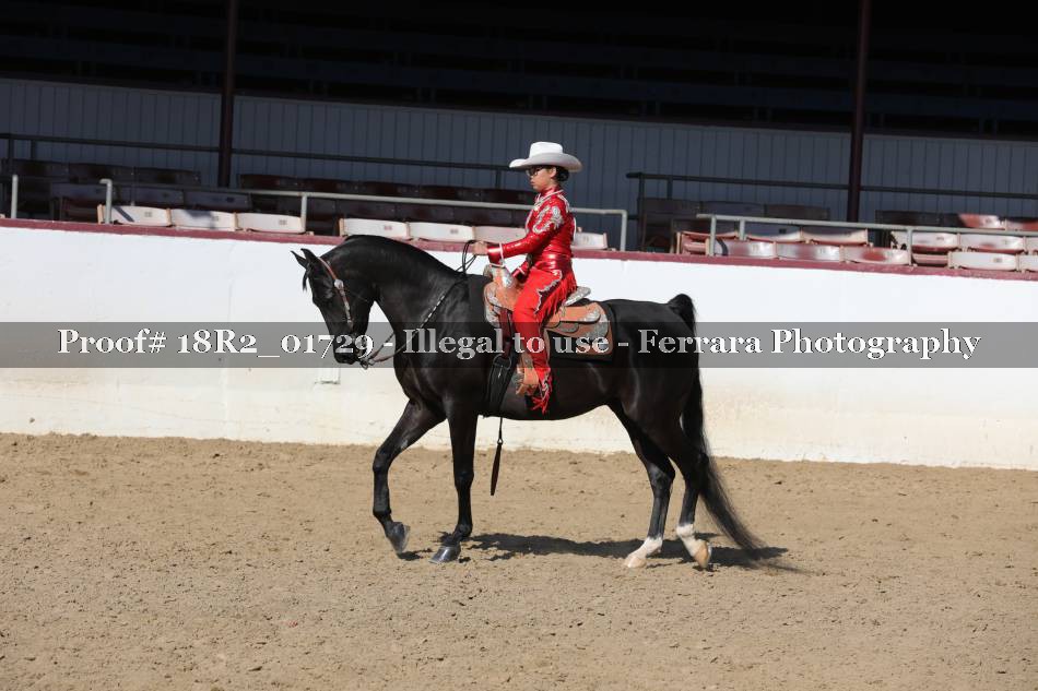 Proof 18R2_01729