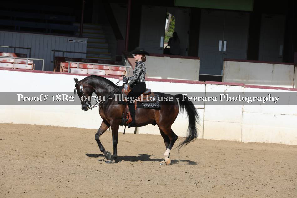 Proof 18R2_01731