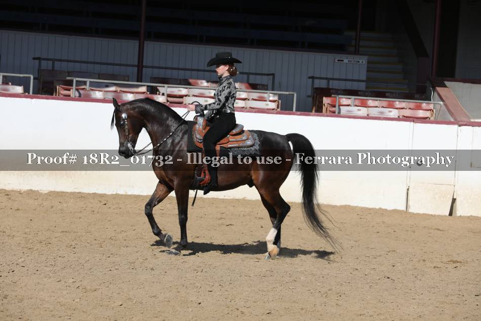 Proof 18R2_01732