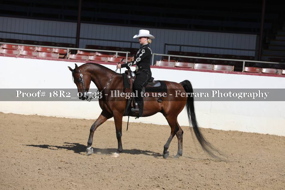 Proof 18R2_01733
