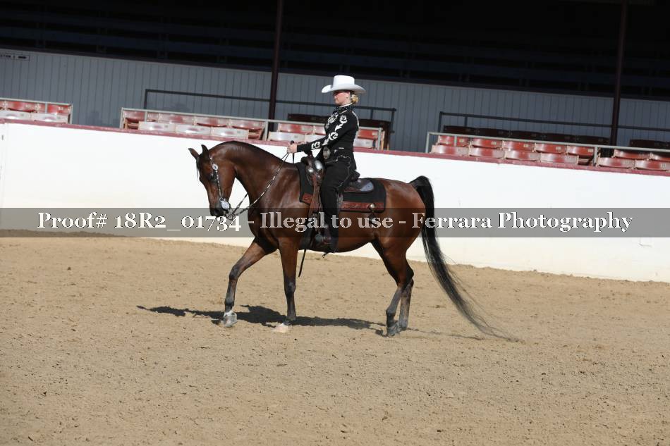Proof 18R2_01734
