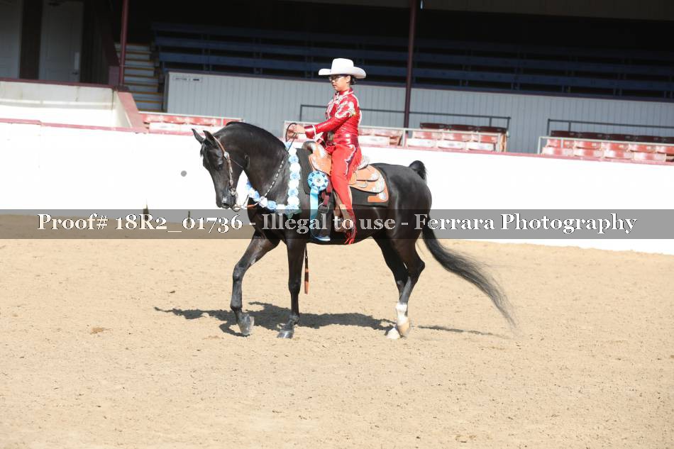 Proof 18R2_01736