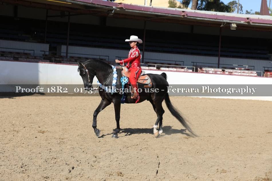 Proof 18R2_01737