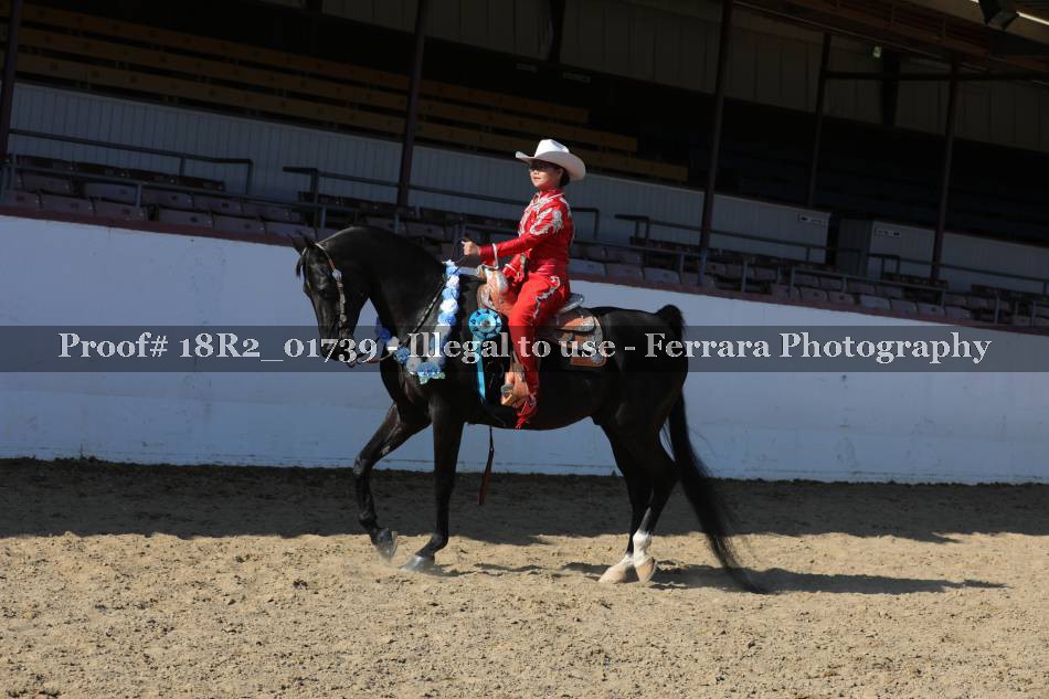 Proof 18R2_01739