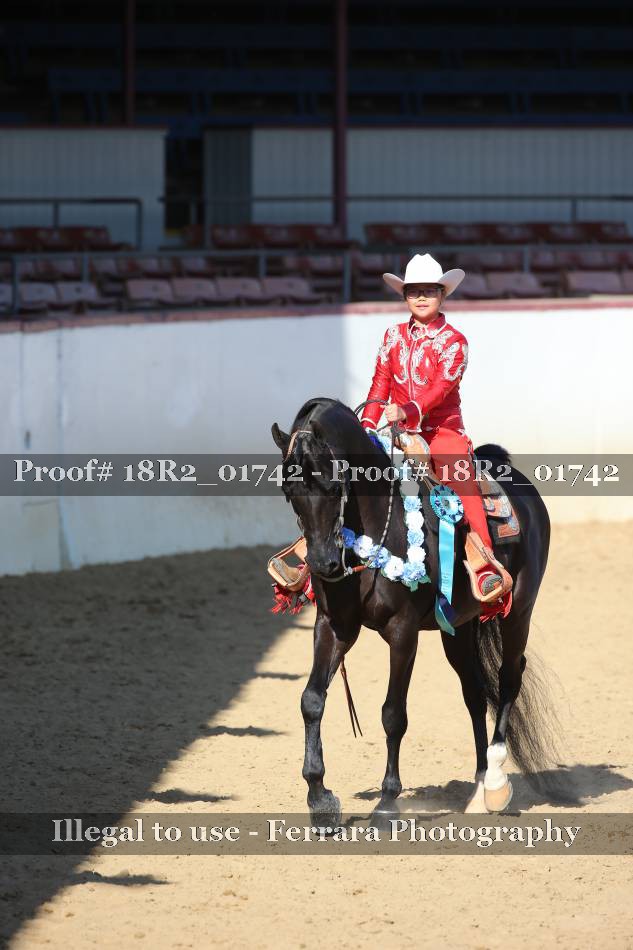 Proof 18R2_01742