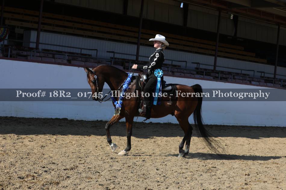 Proof 18R2_01745