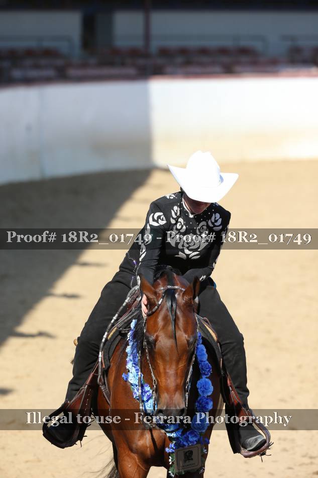 Proof 18R2_01749
