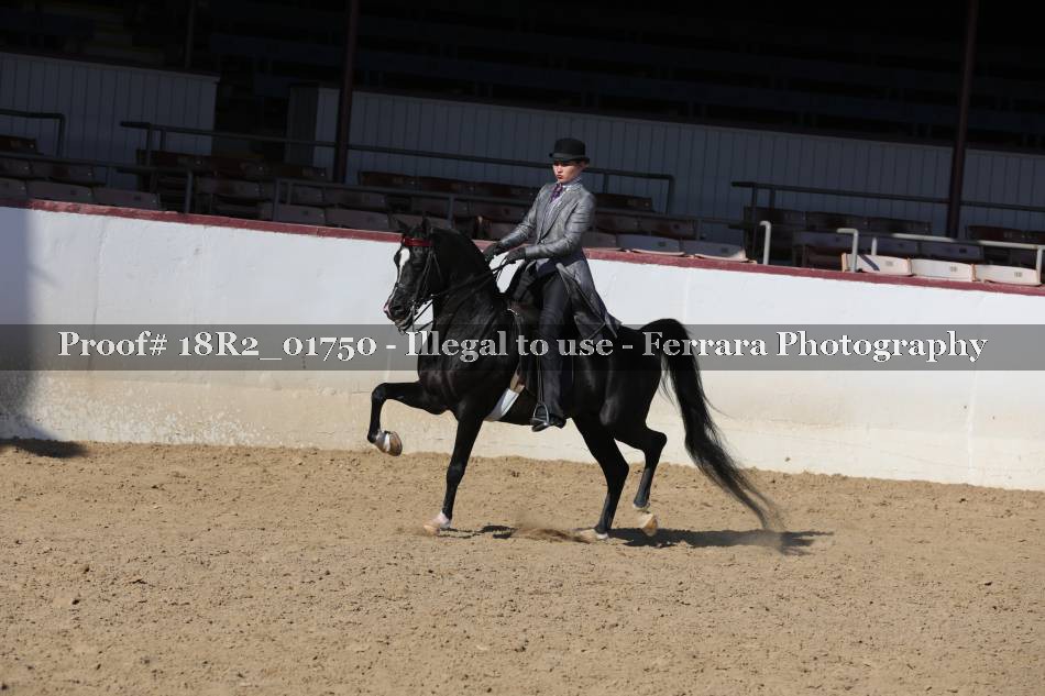 Proof 18R2_01750