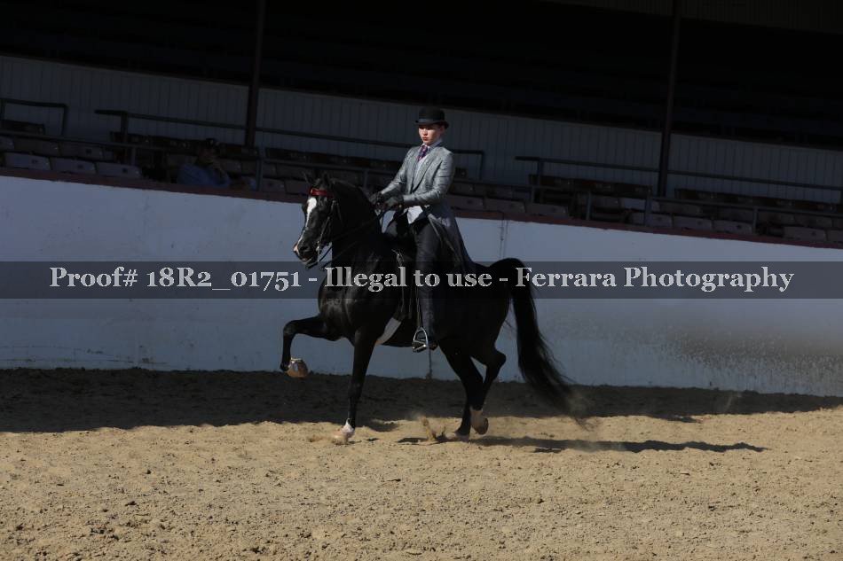 Proof 18R2_01751