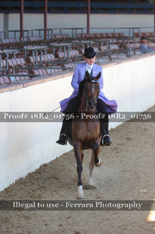 Proof 18R2_01756