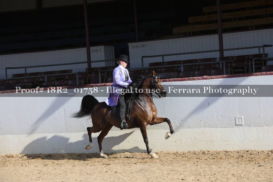 Proof 18R2_01758