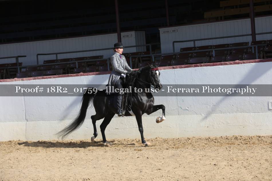 Proof 18R2_01759
