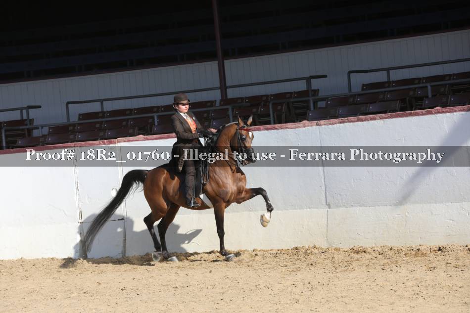 Proof 18R2_01760