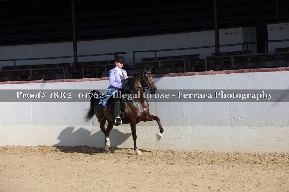 Proof 18R2_01762