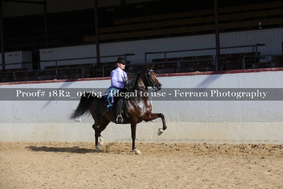 Proof 18R2_01763
