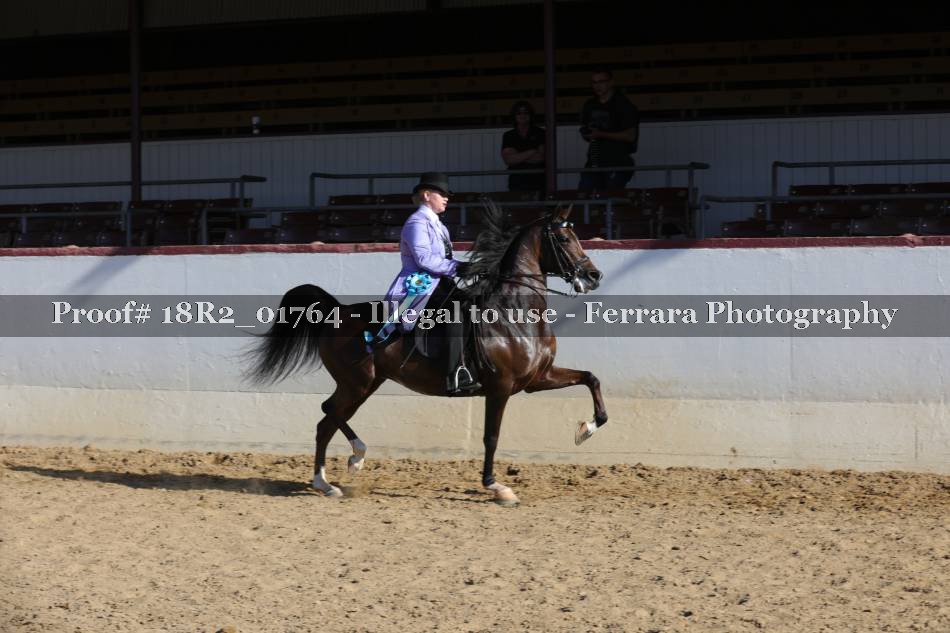 Proof 18R2_01764