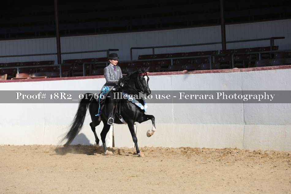 Proof 18R2_01766