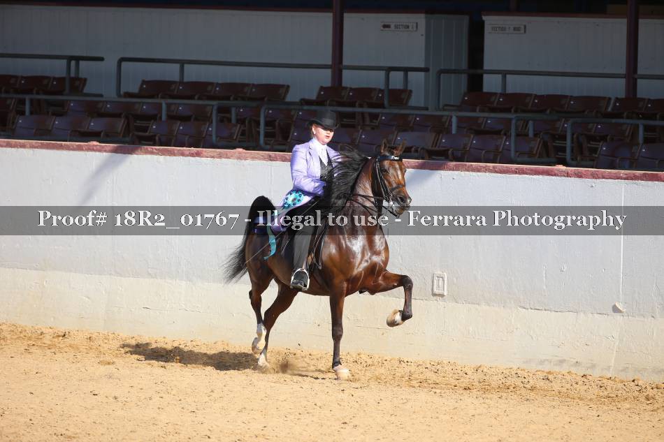 Proof 18R2_01767