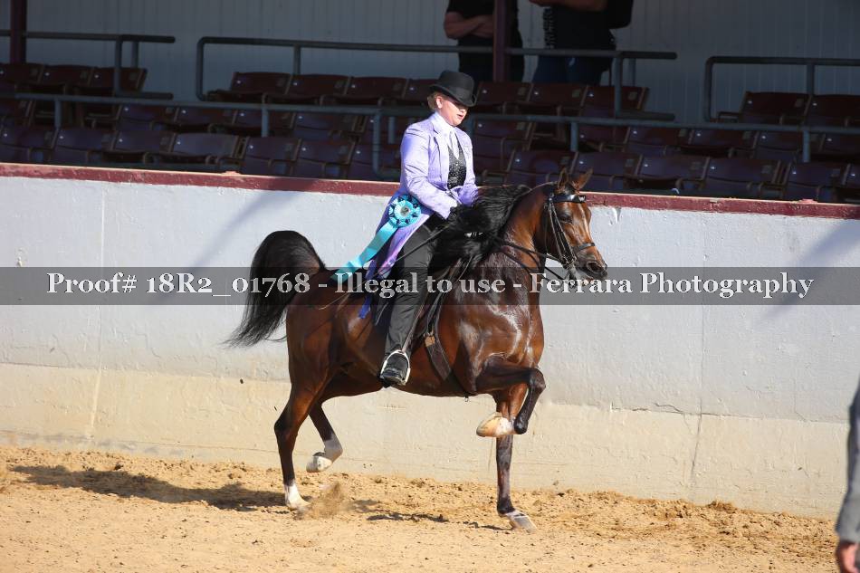 Proof 18R2_01768