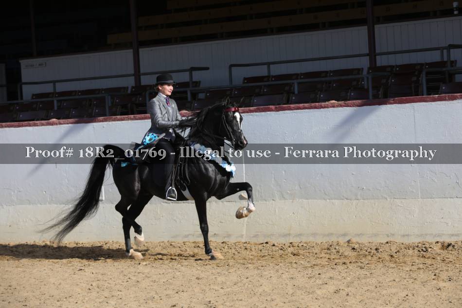 Proof 18R2_01769