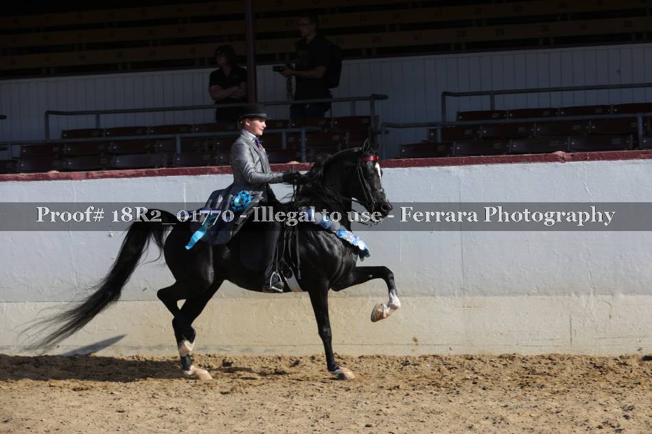 Proof 18R2_01770