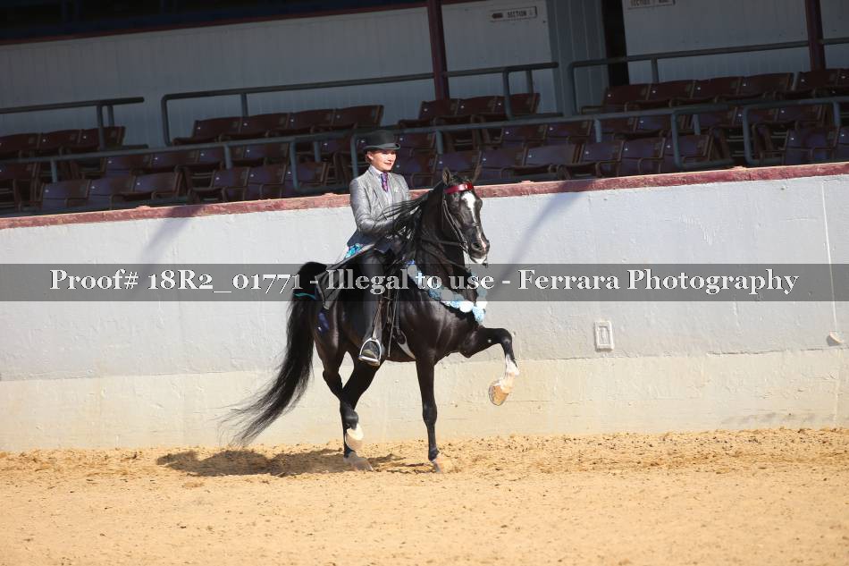 Proof 18R2_01771