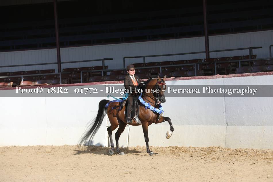 Proof 18R2_01772