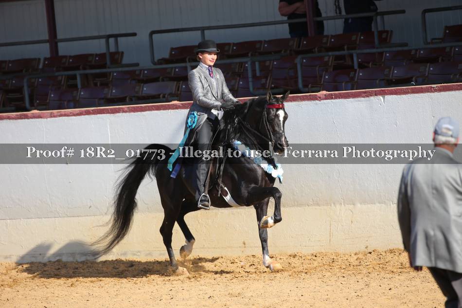 Proof 18R2_01773
