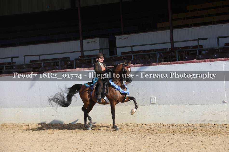 Proof 18R2_01774