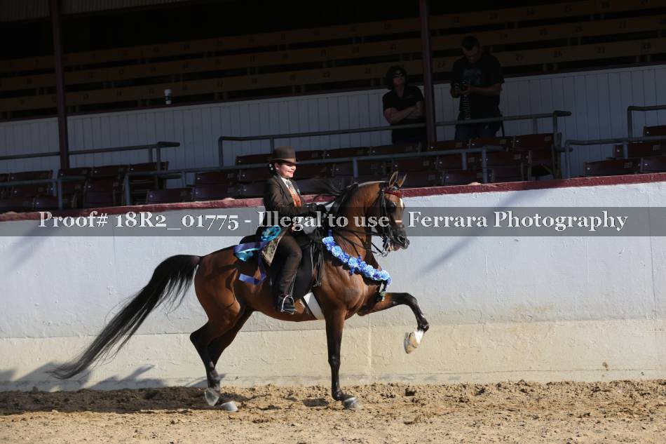 Proof 18R2_01775