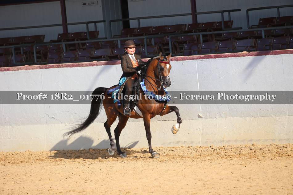 Proof 18R2_01776