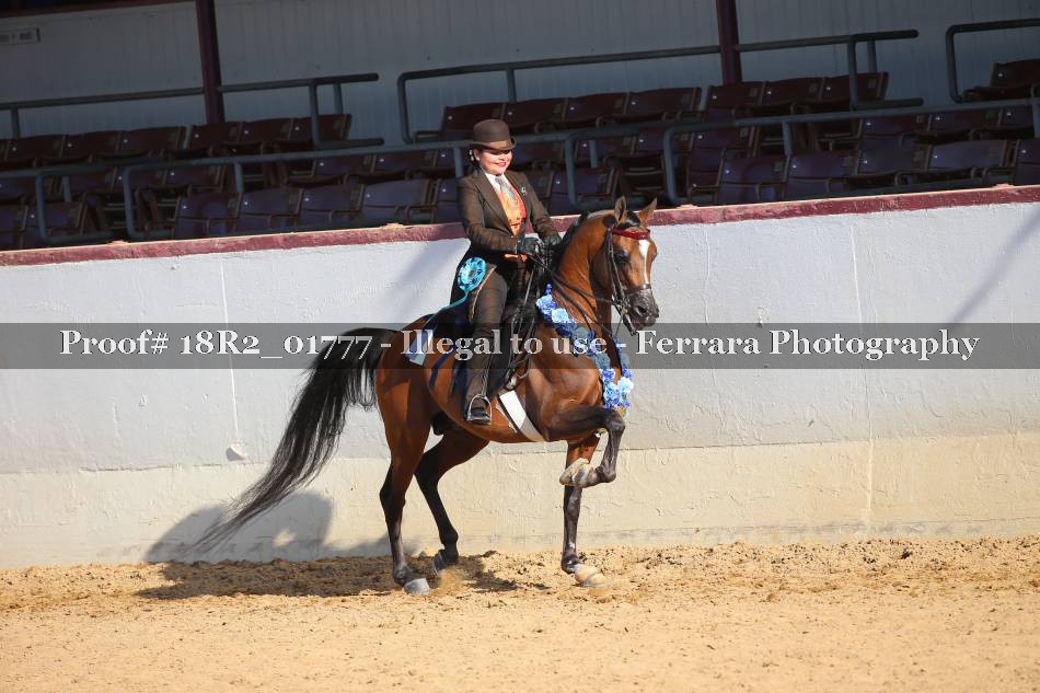 Proof 18R2_01777