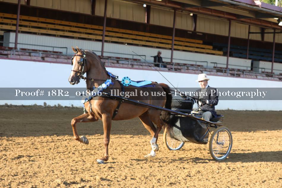 Proof 18R2_01866