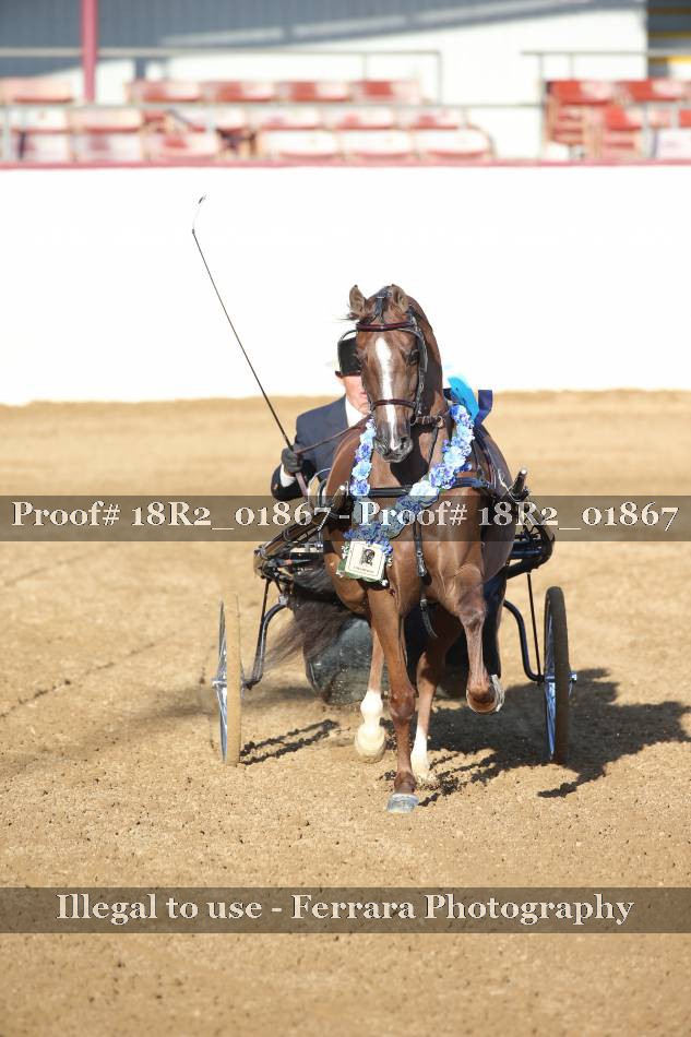 Proof 18R2_01867