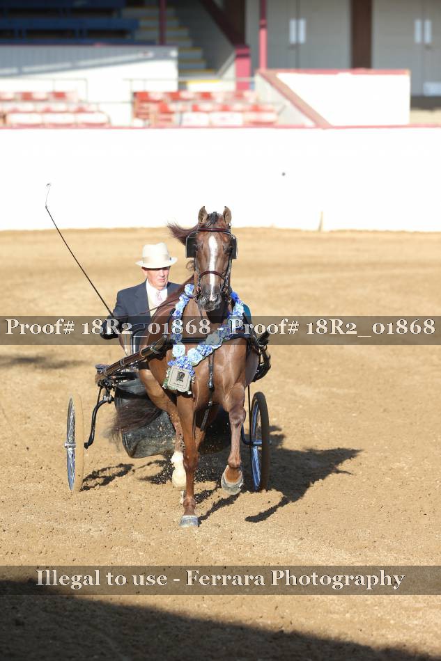 Proof 18R2_01868