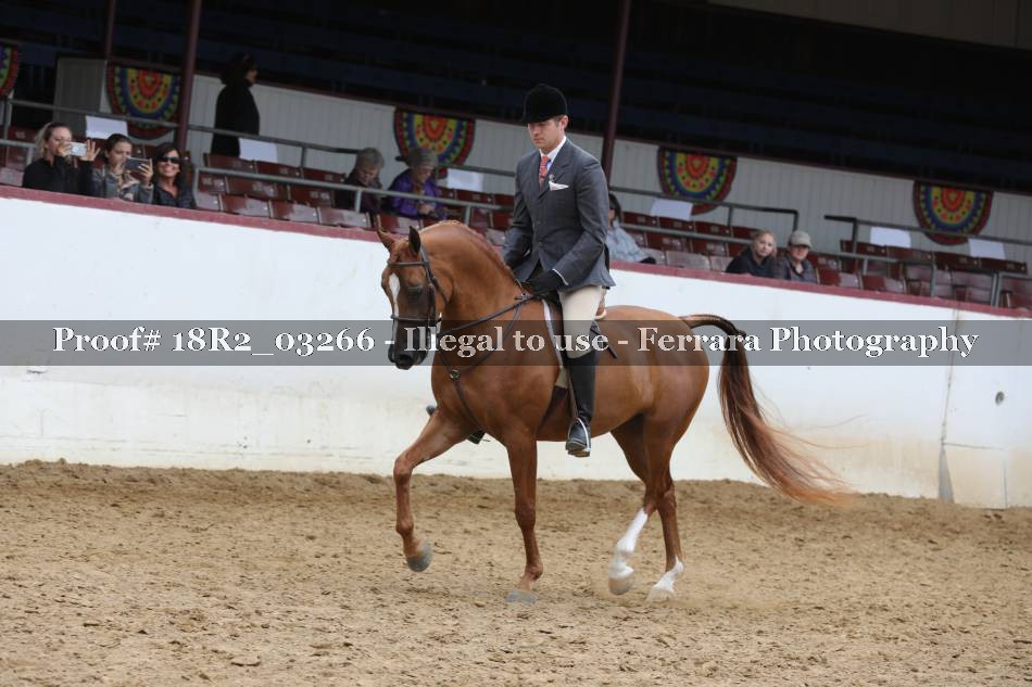 Proof 18R2_03266