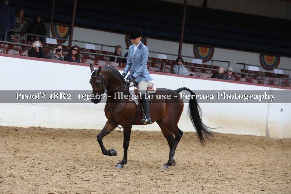 Proof 18R2_03267