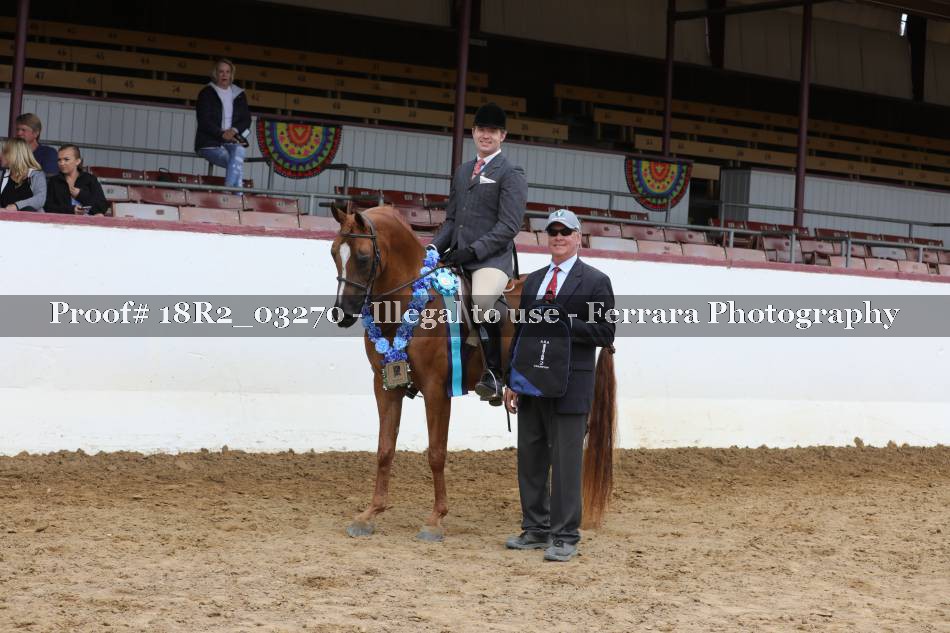 Proof 18R2_03270
