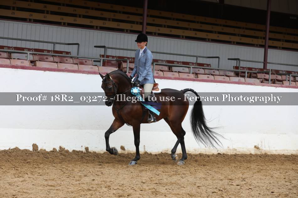 Proof 18R2_03272