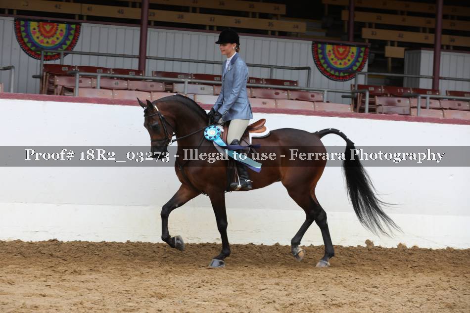 Proof 18R2_03273