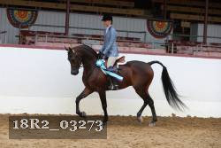 18R2_03273 proof
