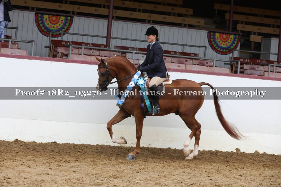 Proof 18R2_03276
