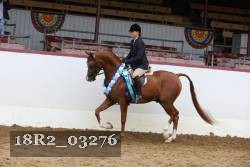 18R2_03276 proof