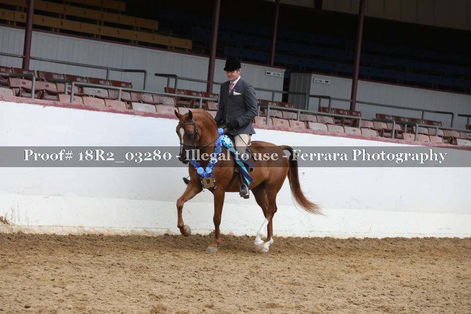 Proof 18R2_03280