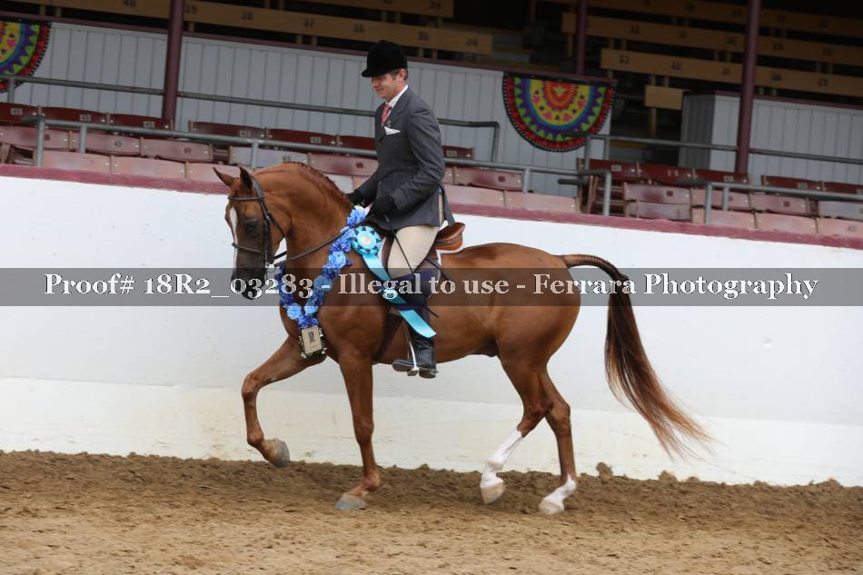 Proof 18R2_03283