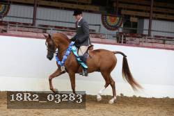 18R2_03283 proof